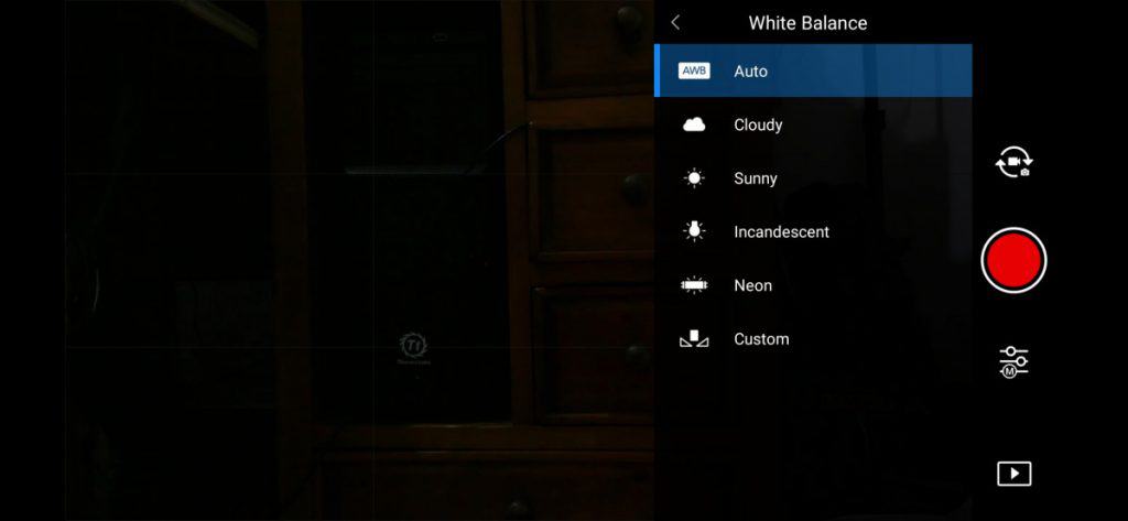 dji change video format