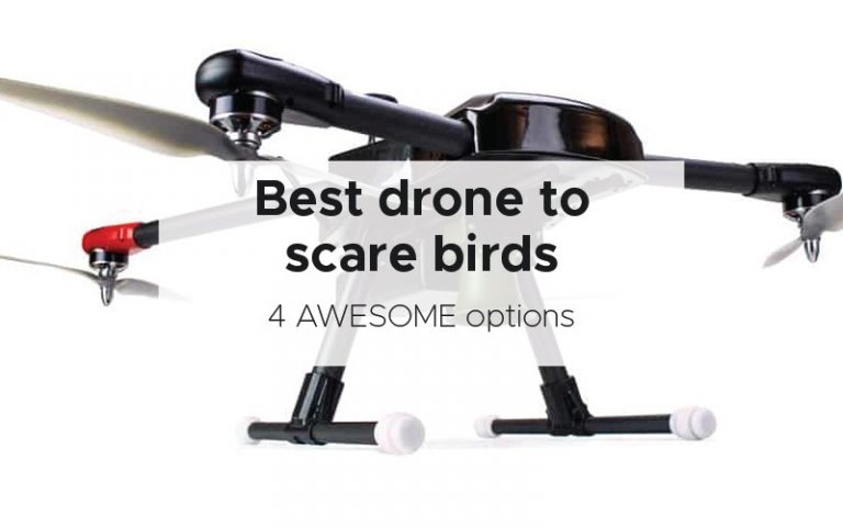 Best drone to scare birds [4 AWESOME options]