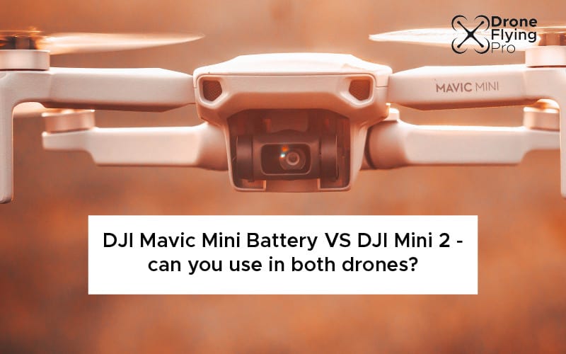 DJ Mavic mini battery versus DJI mini 2 battery