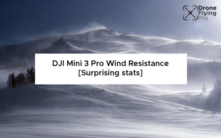 DJI Mini 3 Pro Wind Resistance