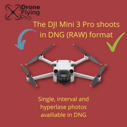 Does the DJI Mini 3 Pro shoot raw? [YES it does]
