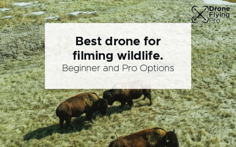 Best drone for filming wildlife.