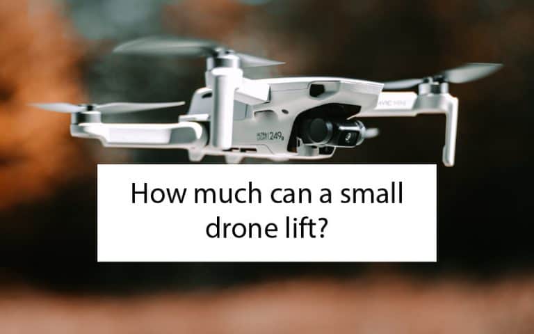 How much can a small drone lift