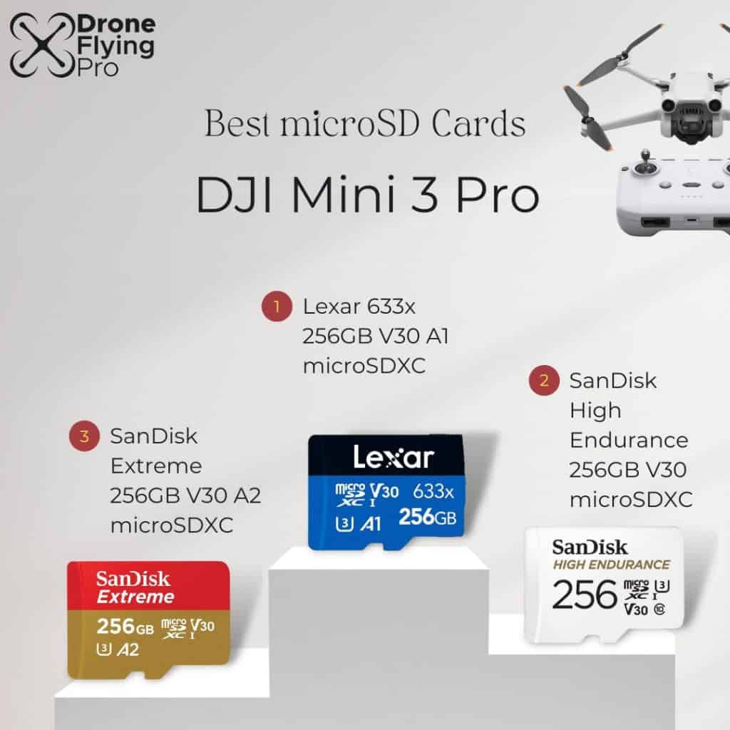 Mini 3 Pro SD card