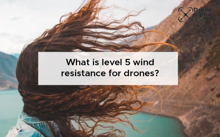 What is level 5 wind resistance for drones - Drone Flying Pro