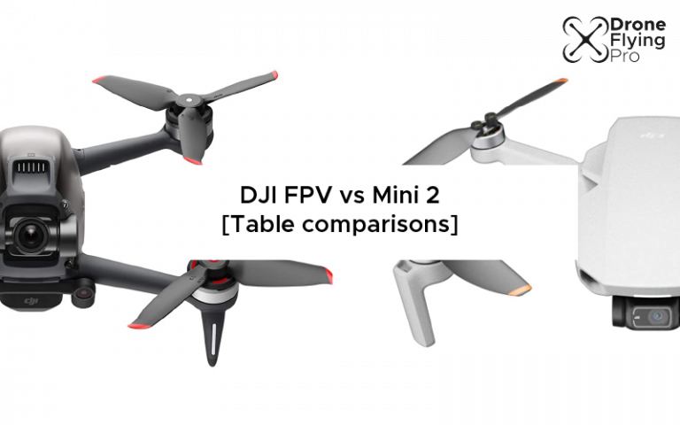 DJI FPV versus mini 2