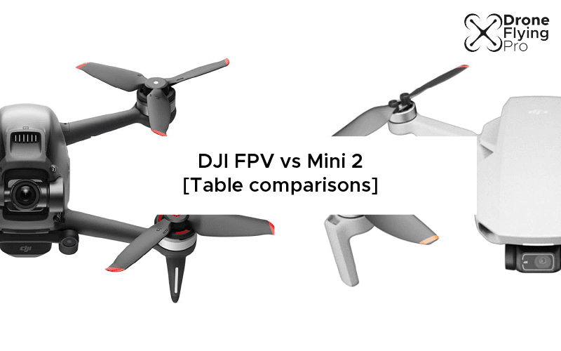 DJI FPV versus mini 2