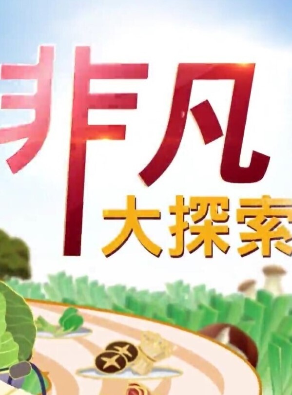 海航空姐MCreation711沦为金主玩物S型身材惊艳全网 - 乳此甚好海报