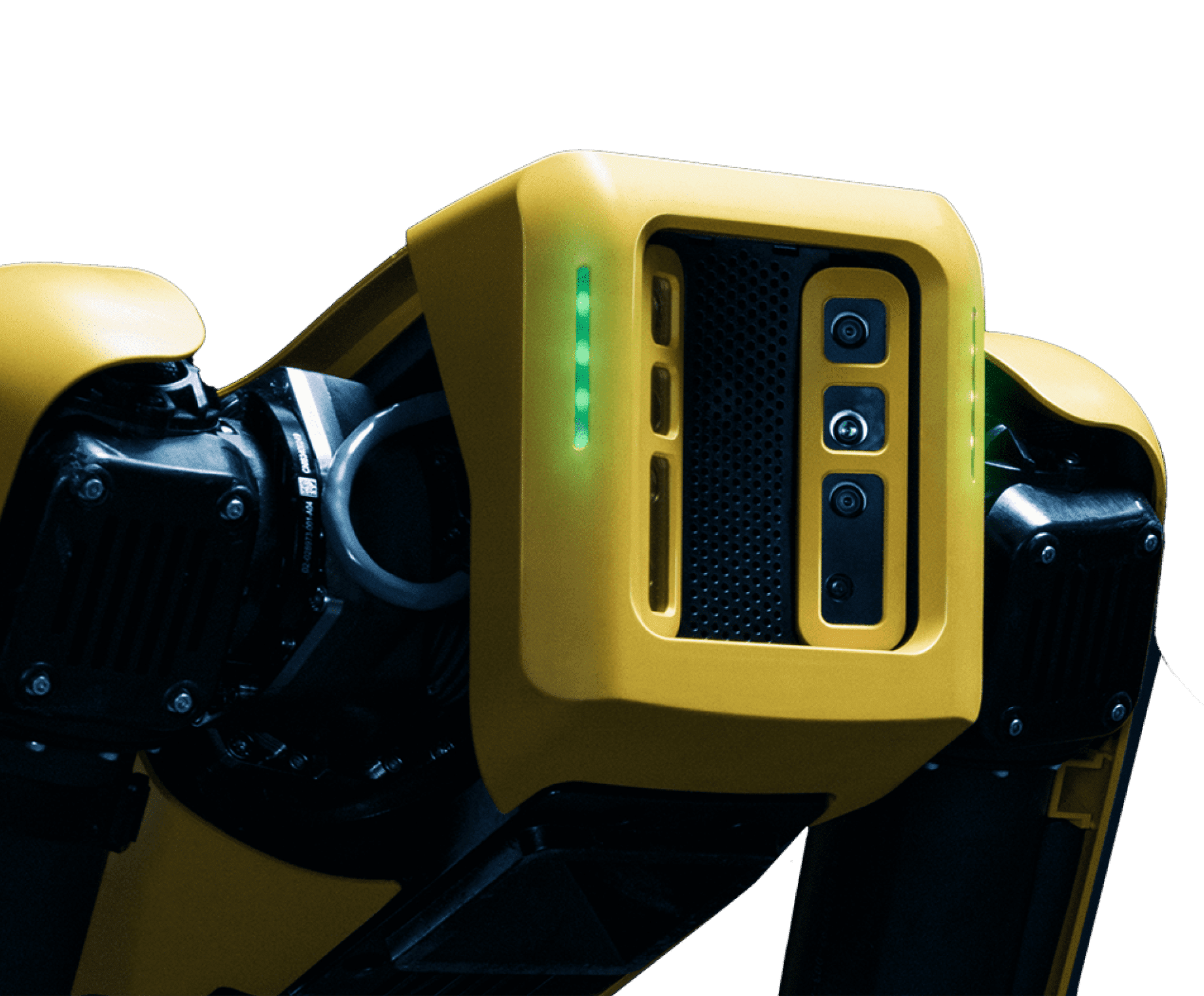 岳毛多又紧做起爽 robot front close-up